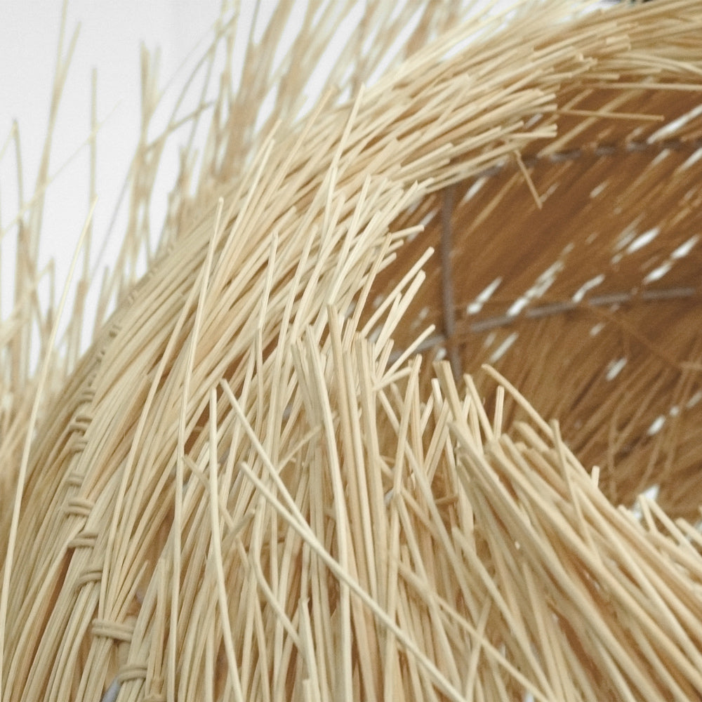 PALAPA