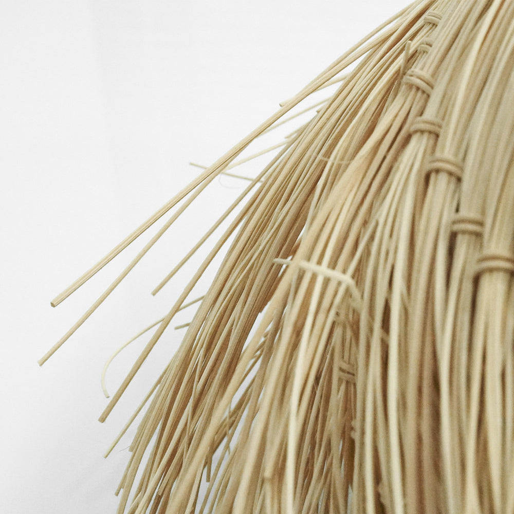 PALAPA